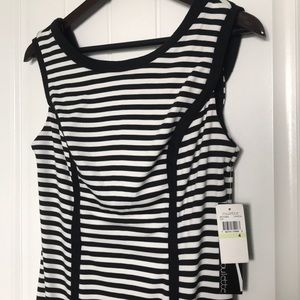 NWT Roulette striped sheath dress